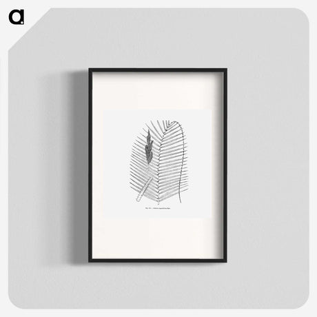 2-18_Les-Palmiers-Histoire-Iconographique_blk