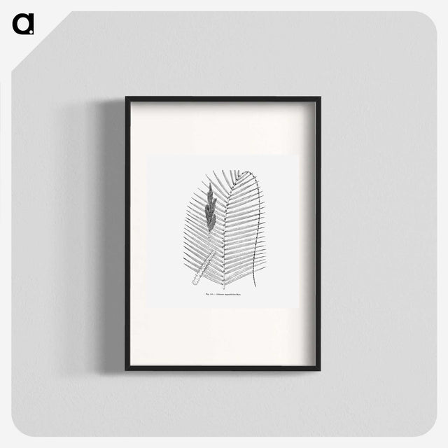 2-18_Les-Palmiers-Histoire-Iconographique_blk