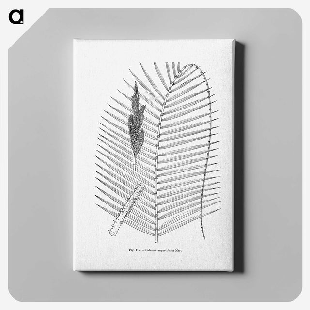 2-18_Les-Palmiers-Histoire-Iconographique_canvas