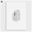 2-18_Les-Palmiers-Histoire-Iconographique_picture
