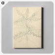 2-18_Luigi-Balugani_canvas