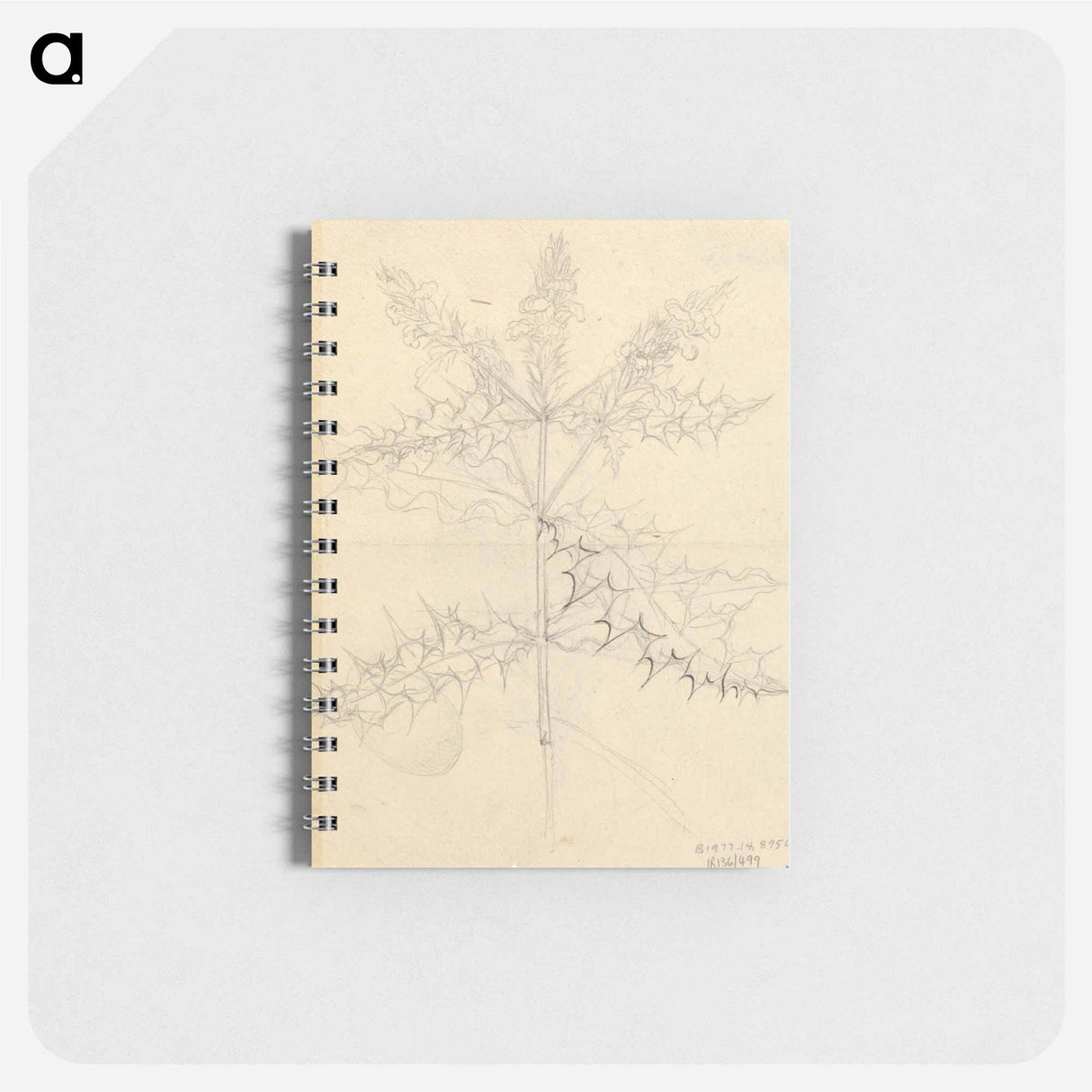 Miscellaneous Sketches in Wrapper
 - ルイージ バルガーニ Memo.