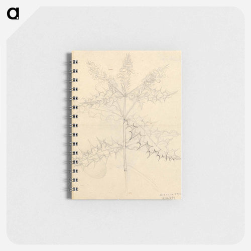 Miscellaneous Sketches in Wrapper
 - ルイージ バルガーニ Memo.