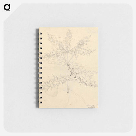 アートメモ帳-Miscellaneous Sketches in Wrapper
 - ルイージ バルガーニ Memo.