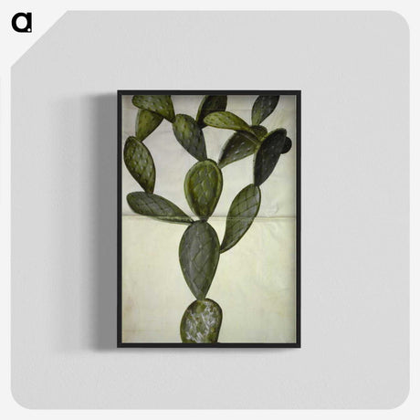 2-18_Maria-Sibylla-Merian_blk-crop
