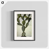 2-18_Maria-Sibylla-Merian_blk