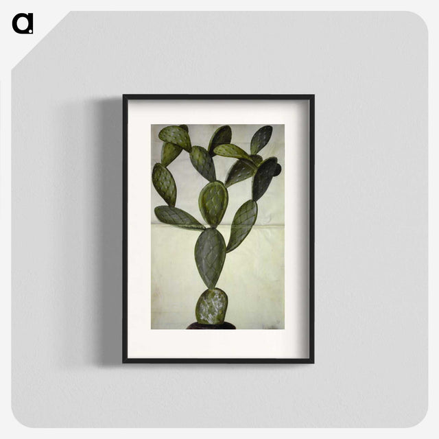 2-18_Maria-Sibylla-Merian_blk