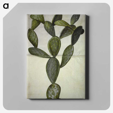 2-18_Maria-Sibylla-Merian_canvas