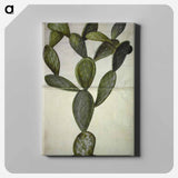 アートパネル-Opuntia Monacantha
 - マリア ジビーラ メーリアン Canvas.
