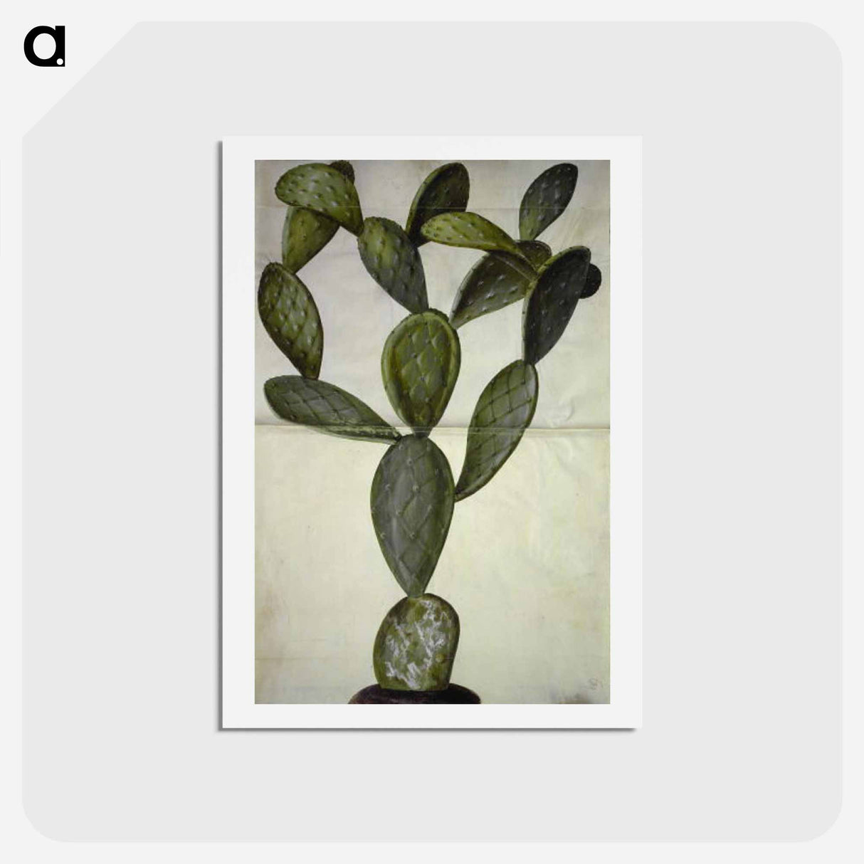 アートポストカード-Opuntia Monacantha
 - マリア ジビーラ メーリアン Postcard.