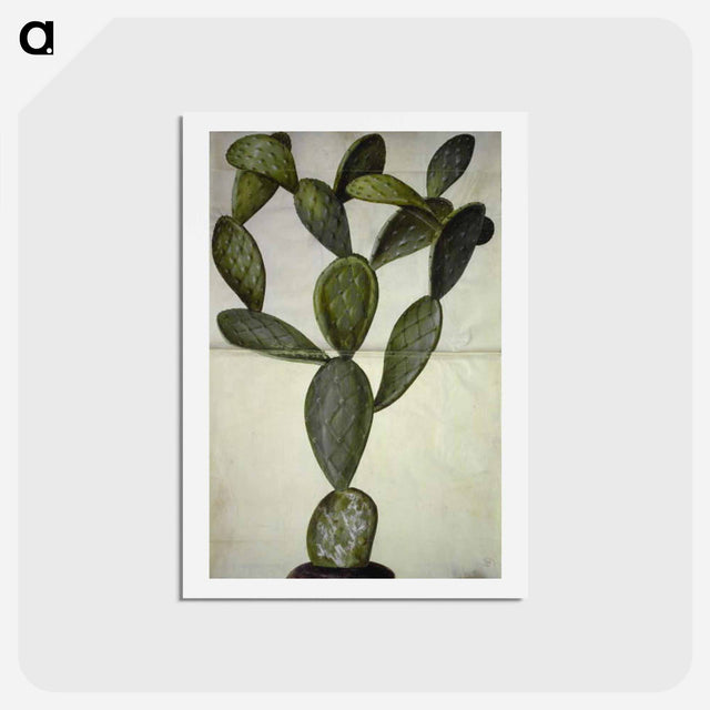 アートポストカード-Opuntia Monacantha
 - マリア ジビーラ メーリアン Postcard.
