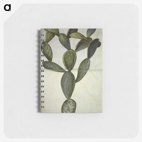 2-18_Maria-Sibylla-Merian_memo