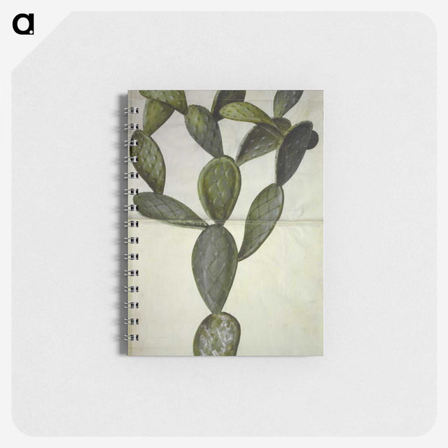 2-18_Maria-Sibylla-Merian_memo