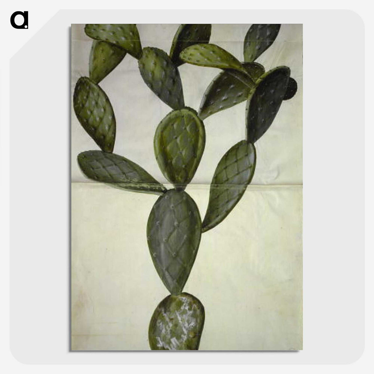 2-18_Maria-Sibylla-Merian_picture-crop