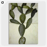 2-18_Maria-Sibylla-Merian_picture-crop
