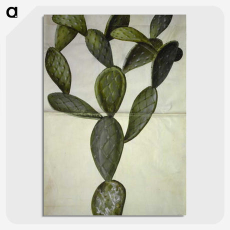 2-18_Maria-Sibylla-Merian_picture-crop