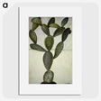 2-18_Maria-Sibylla-Merian_picture