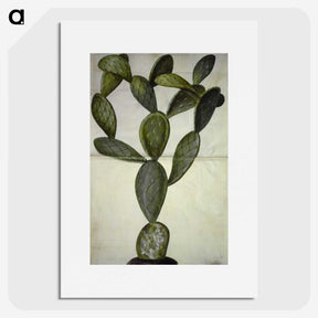 2-18_Maria-Sibylla-Merian_picture