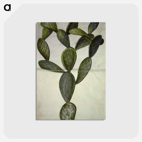 アートポストカード-Opuntia Monacantha
 - マリア ジビーラ メーリアン Postcard.