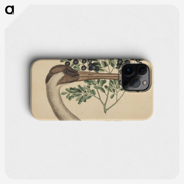 2-18_Mark-Catesby_phone