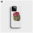 2-18_Mary-Vaux-Walcott_phone