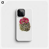 2-18_Mary-Vaux-Walcott_phone