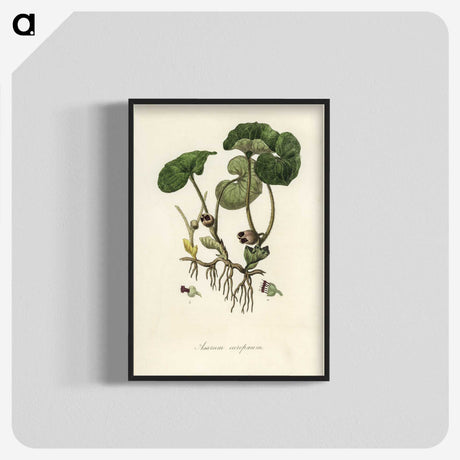 2-18_Medical-Botany_blk-crop