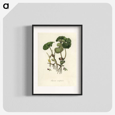 2-18_Medical-Botany_blk