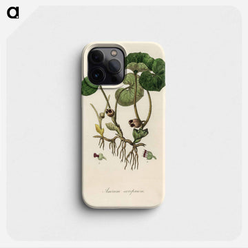 European Wild Ginger Illustration
 - 薬用植物学 Phone Case.