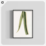 2-18_Plants-with-Colored-Foliage_blk-crop