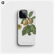 2-18_Pomona-Italiana_phone