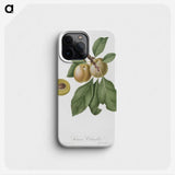 2-18_Pomona-Italiana_phone