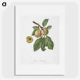 2-18_Pomona-Italiana_picture