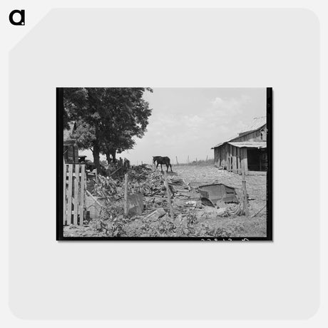 アートポストカード-Barnyard, Muskogee
 - ラッセル リー Postcard.