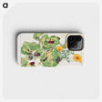 2-18_Seiyo-Soka-Zufu_phone