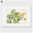 2-18_Seiyo-Soka-Zufu_picture