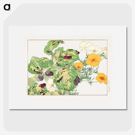 2-18_Seiyo-Soka-Zufu_picture