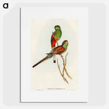 Beautiful Parakeet
 - オーストラリアの鳥 Poster.