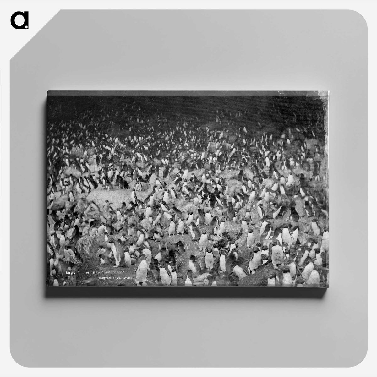 2-18_The-Burton-Brothers_canvas