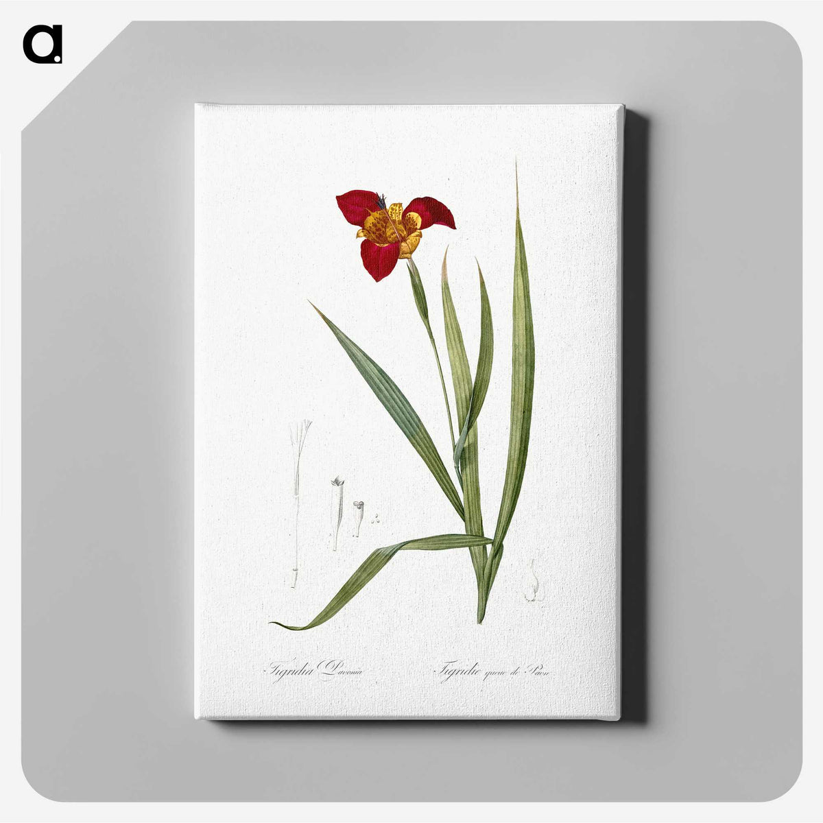 2-18_The-Lilies_canvas