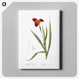 2-18_The-Lilies_canvas