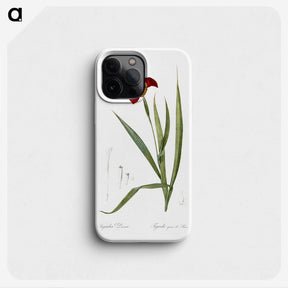 2-18_The-Lilies_phone