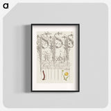 アートポスター-Caterpillar and Globeflower from Mira Calligraphiae Monumenta
 - 書道のお手本 Poster.