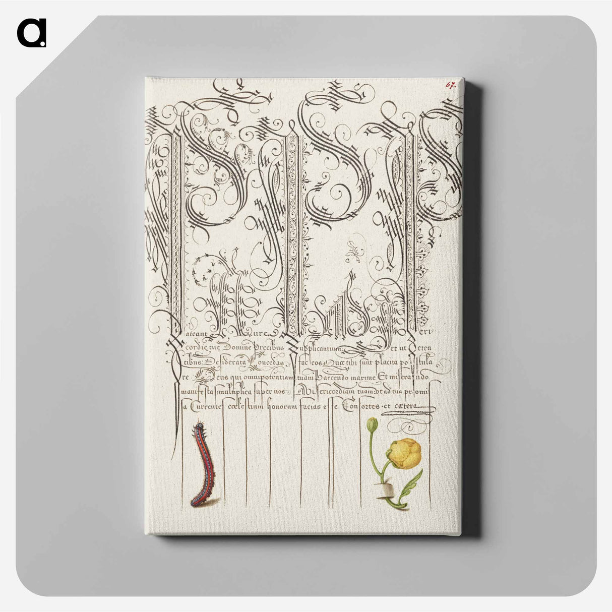 アートパネル-Caterpillar and Globeflower from Mira Calligraphiae Monumenta
 - 書道のお手本 Canvas.
