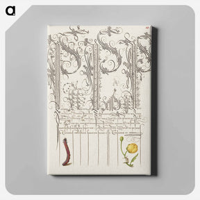 アートパネル-Caterpillar and Globeflower from Mira Calligraphiae Monumenta
 - 書道のお手本 Canvas.