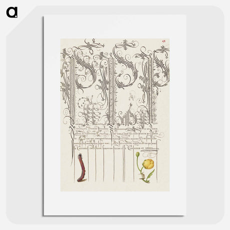 アートポスター-Caterpillar and Globeflower from Mira Calligraphiae Monumenta
 - 書道のお手本 Poster.