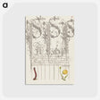 アートポストカード-Caterpillar and Globeflower from Mira Calligraphiae Monumenta
 - 書道のお手本 Postcard.