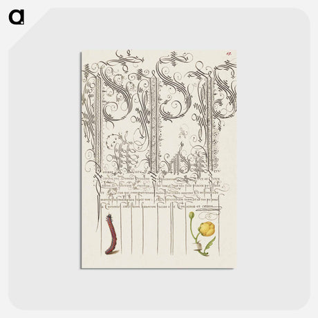 アートポストカード-Caterpillar and Globeflower from Mira Calligraphiae Monumenta
 - 書道のお手本 Postcard.