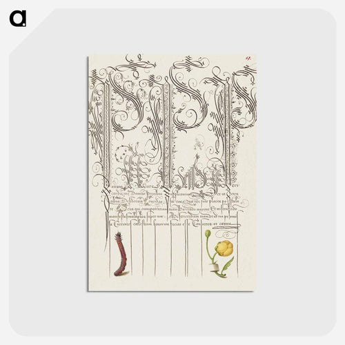 Caterpillar and Globeflower from Mira Calligraphiae Monumenta
 - 書道のお手本 Postcard.