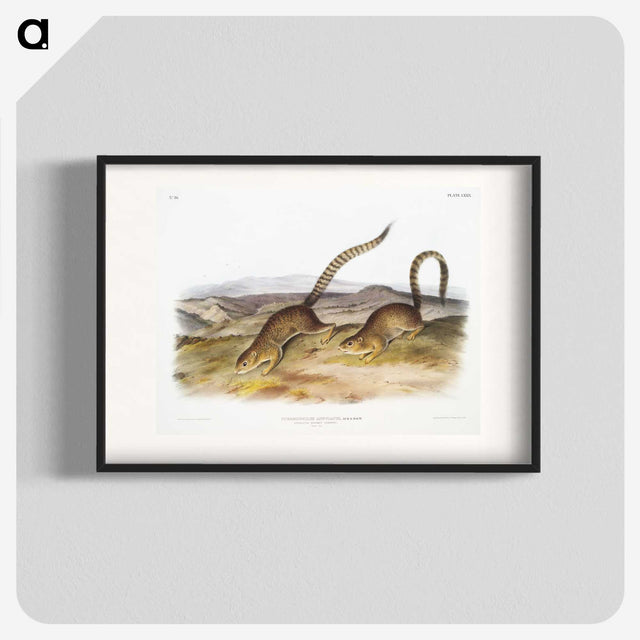 2-18_The-Viviparous-Quadrupeds_blk